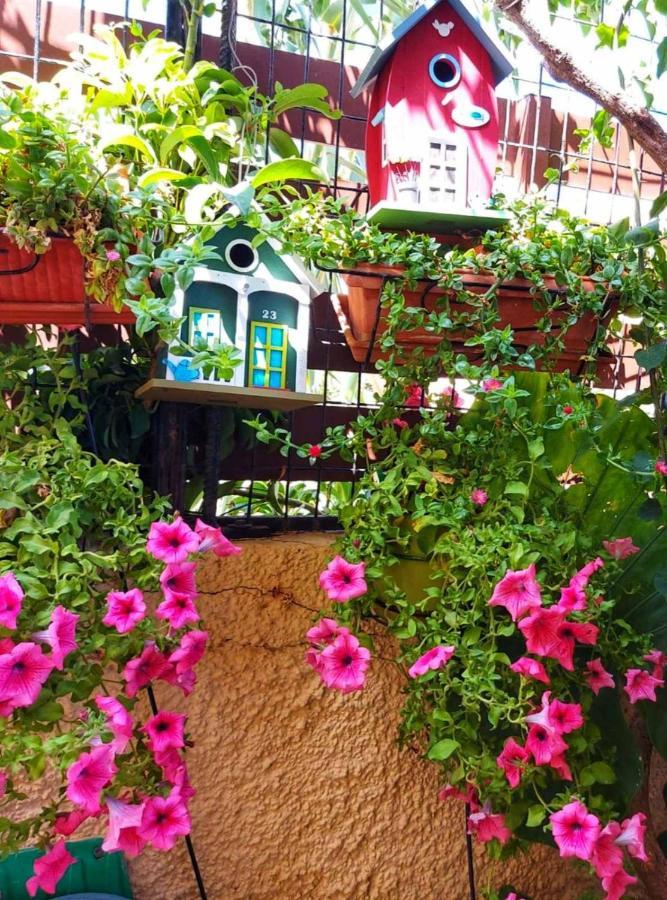 플라타니아스 Elisavet'S House 빌라 외부 사진